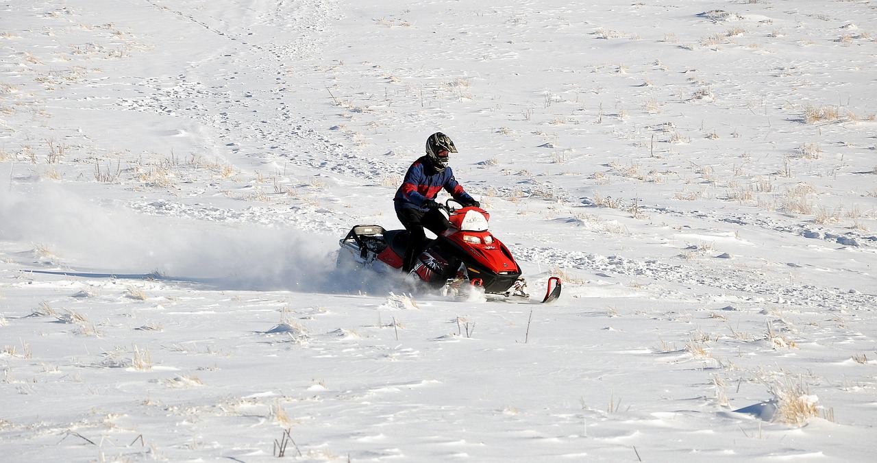Half day Guided Snowmobile Tour