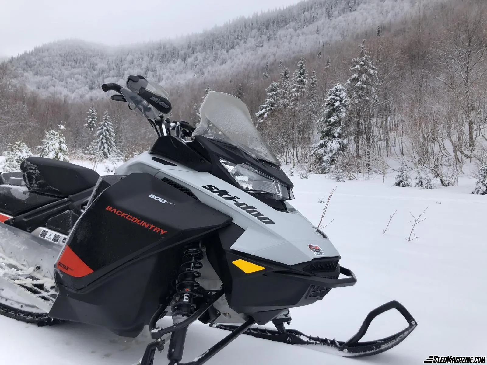 Ski-Doo Backcountry Sport 600
