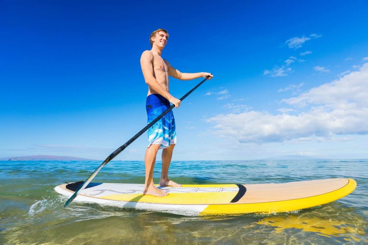 Stand Up Paddle Board